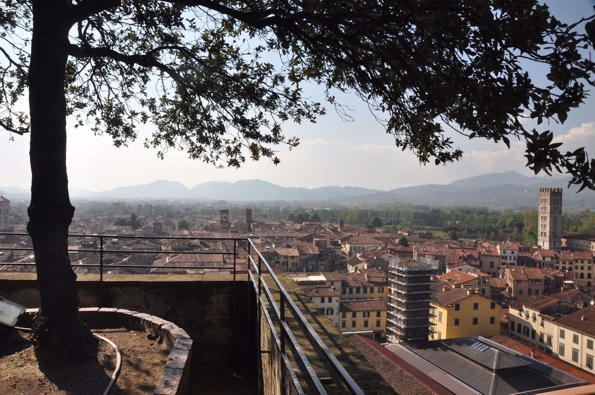 Lucca, Torre Guinigi